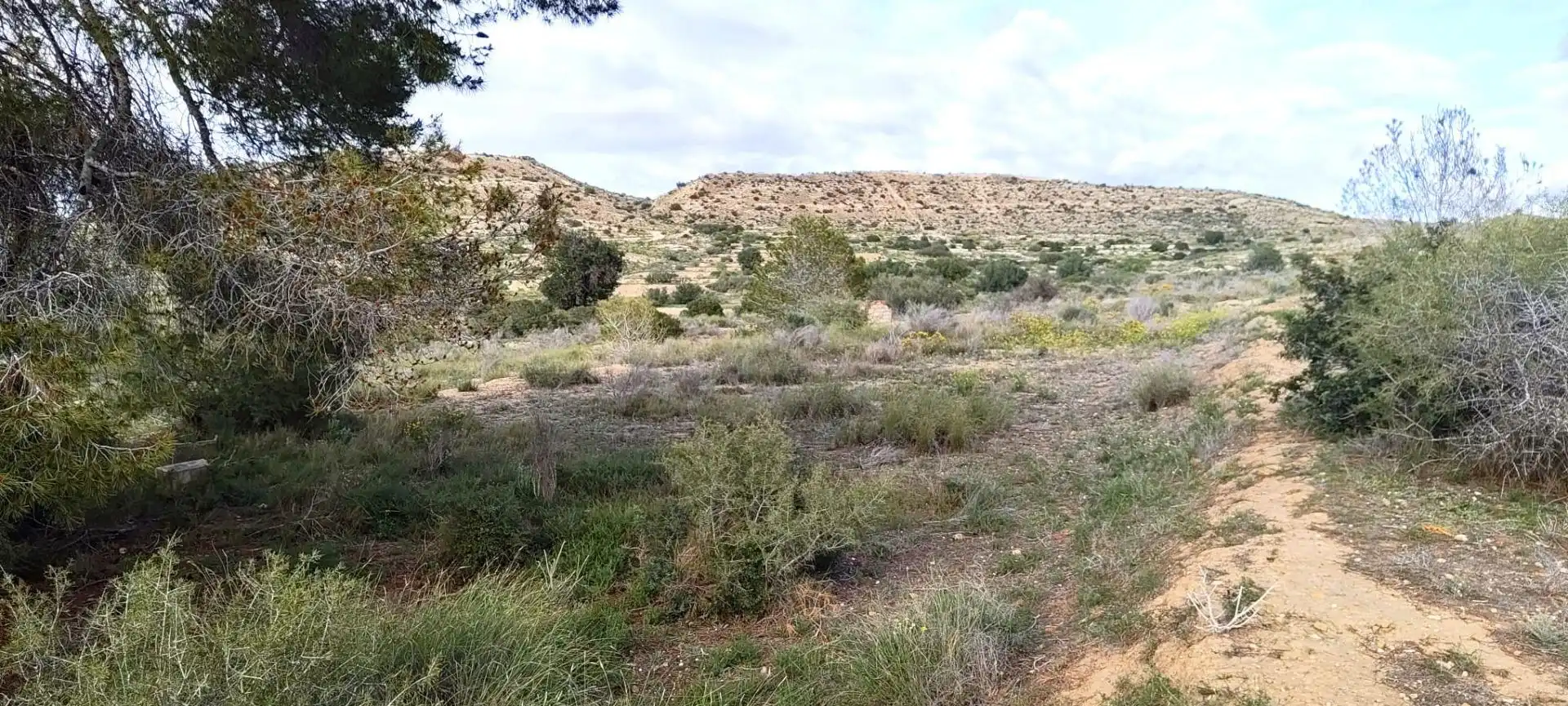 Terrain rustique à vendre à Jubalcoi, imagen 5