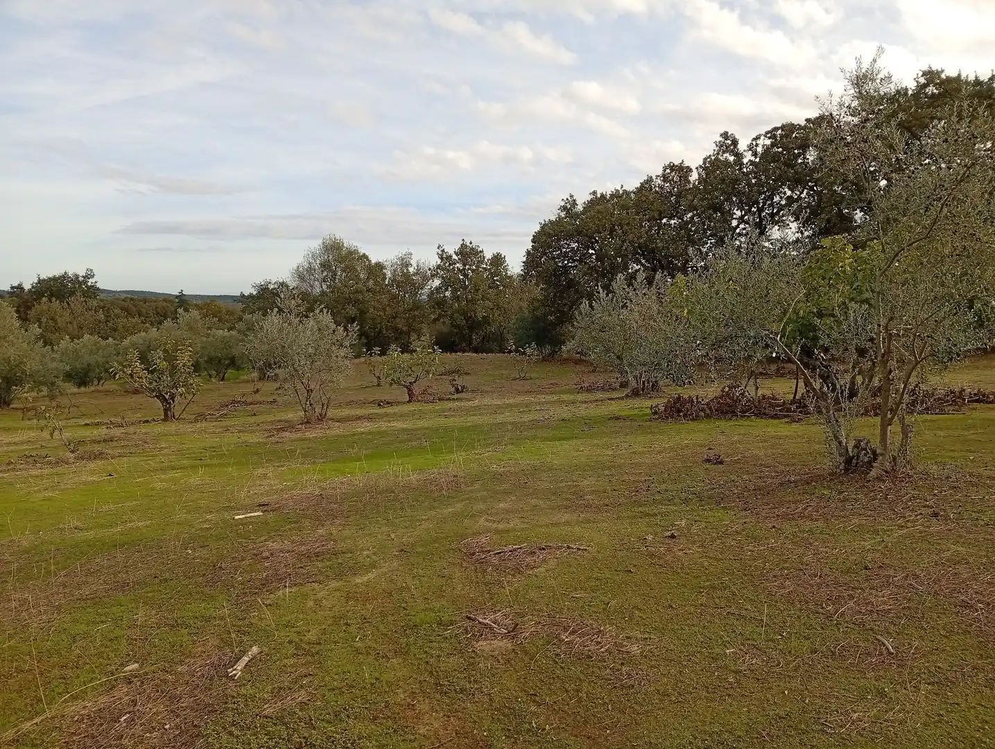 Terreni e lotti in vendita a Villanueva de la Vera, imagen 20