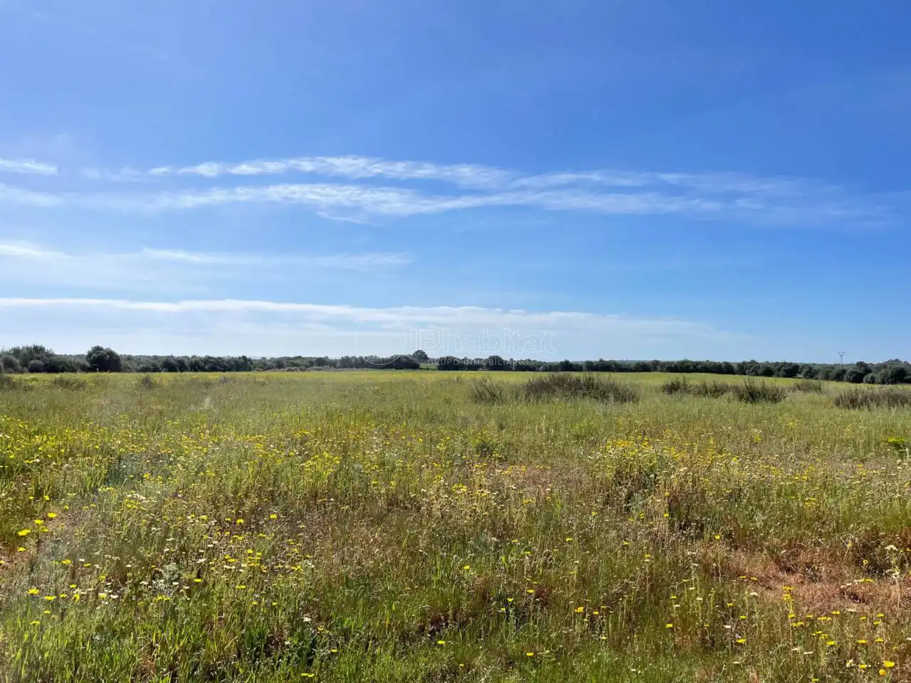 Terreny residencial en venda a Ses Palmeres