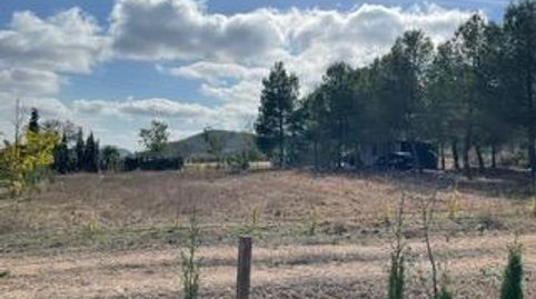 Venta de Casa Independiente con parcela en Yecla, imagen 4