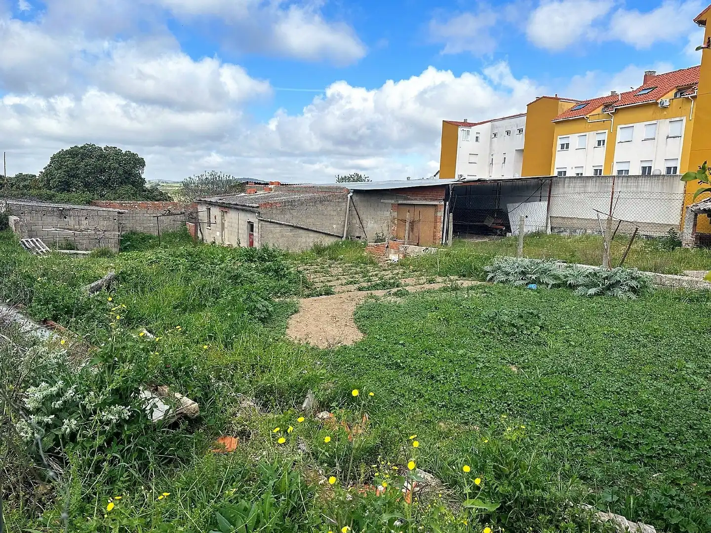 Terreni e lotti in vendita a Malpartida de Plasencia, imagen 2