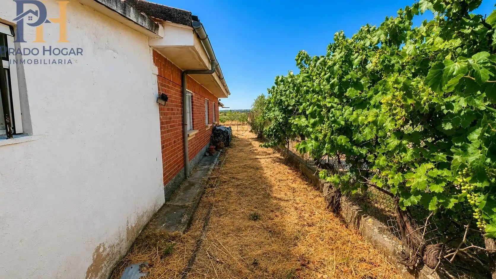 Houses for sale in Cebolla  with Private garden and Swimming Pool
