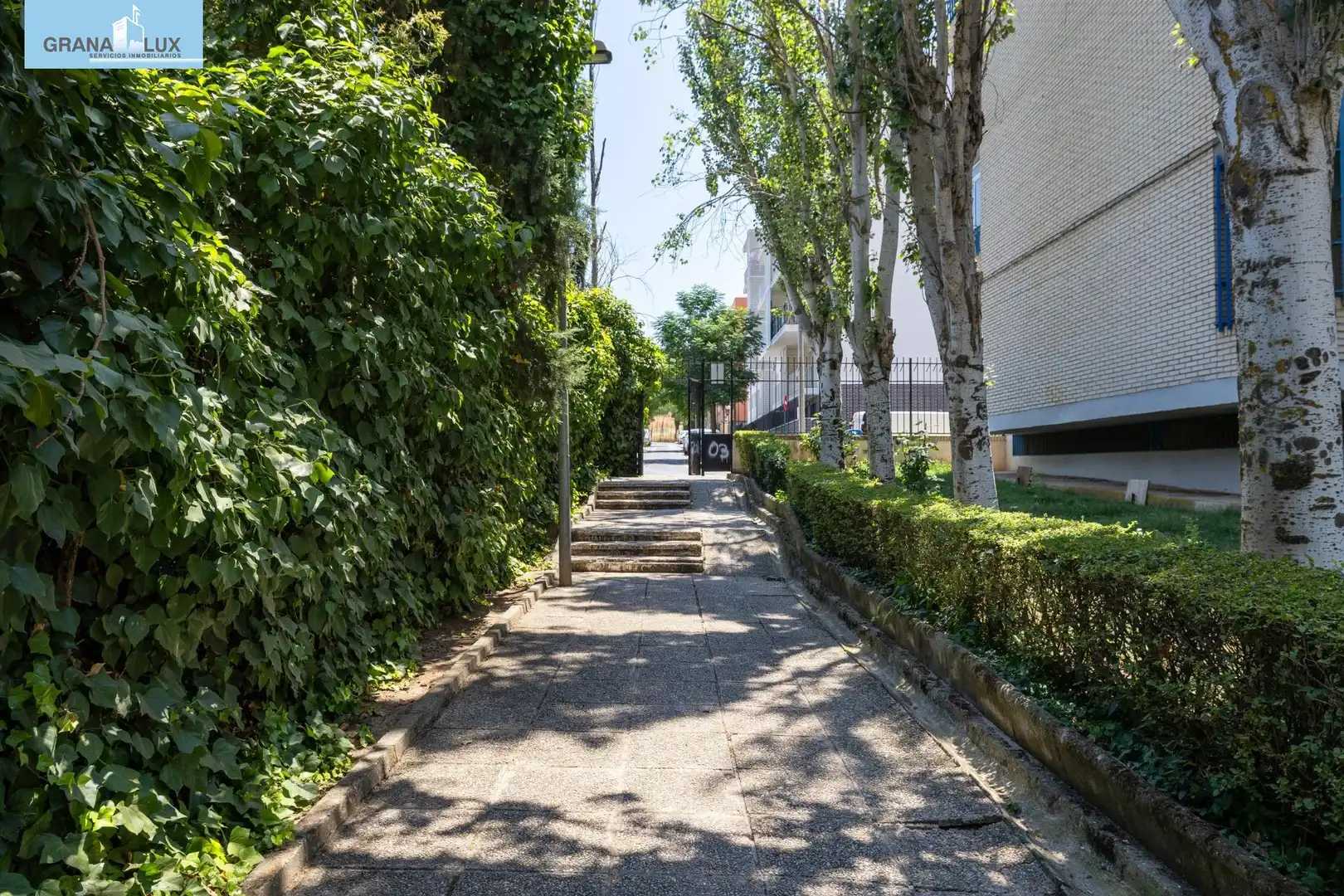 Piso en venta en Calle de Rosa Chacel, imagen 4