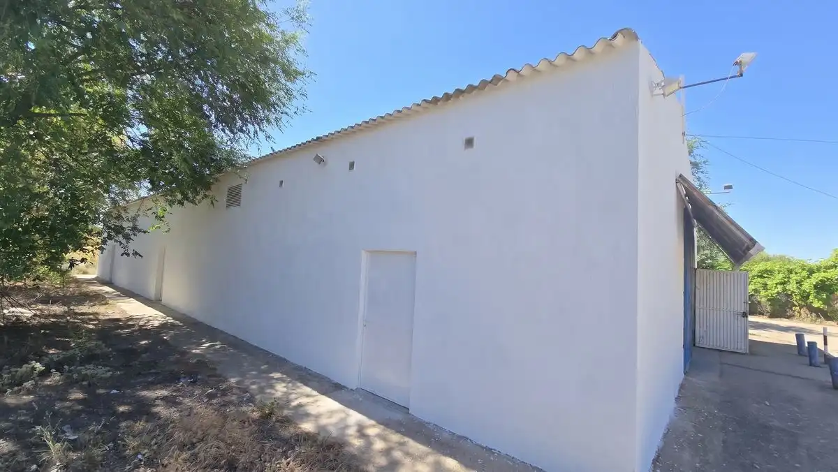Nave industrielle à vendre à Carretera de Loranca, imagen 8