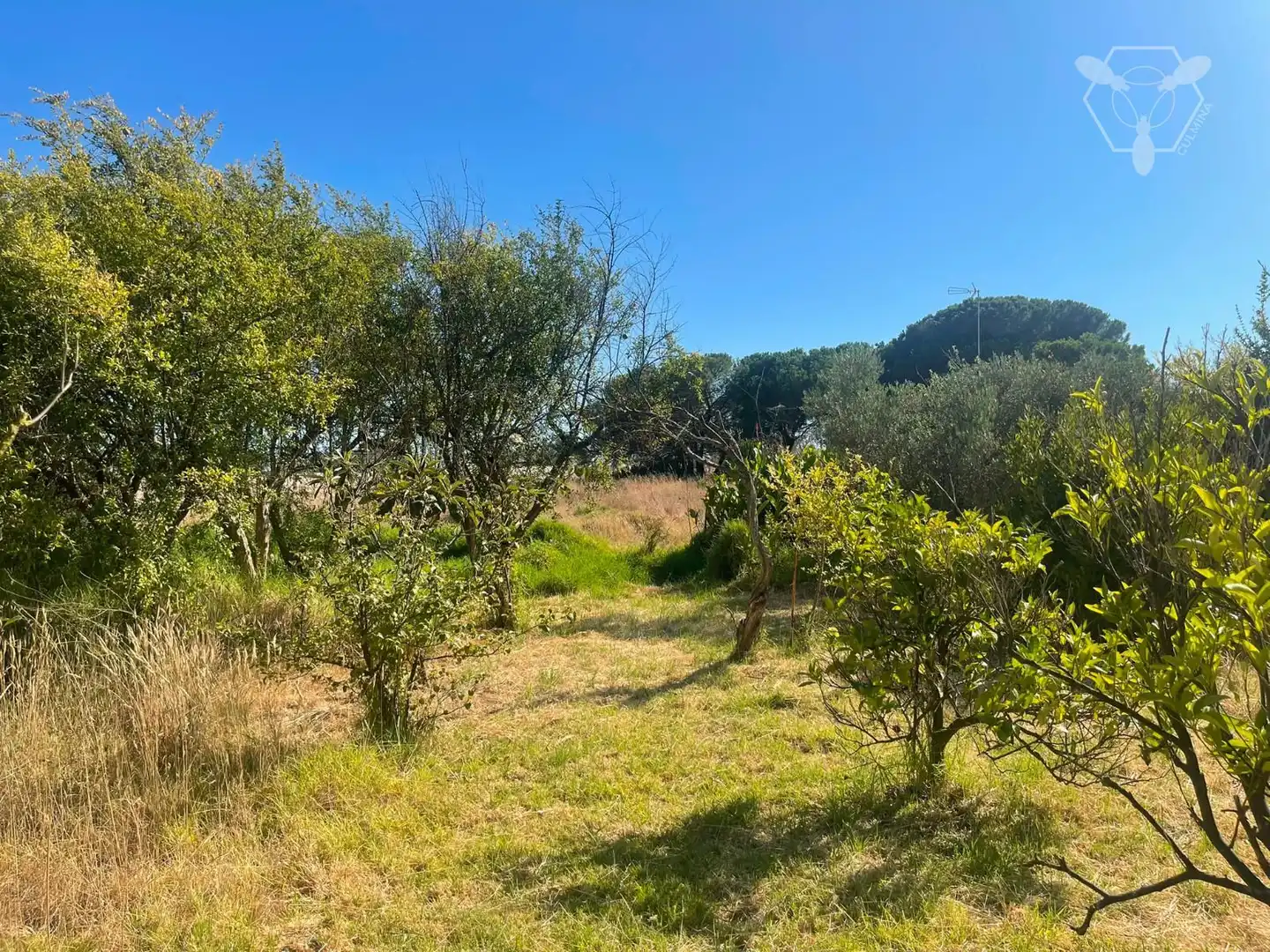 Chalet en venta en Bonares, imagen 27