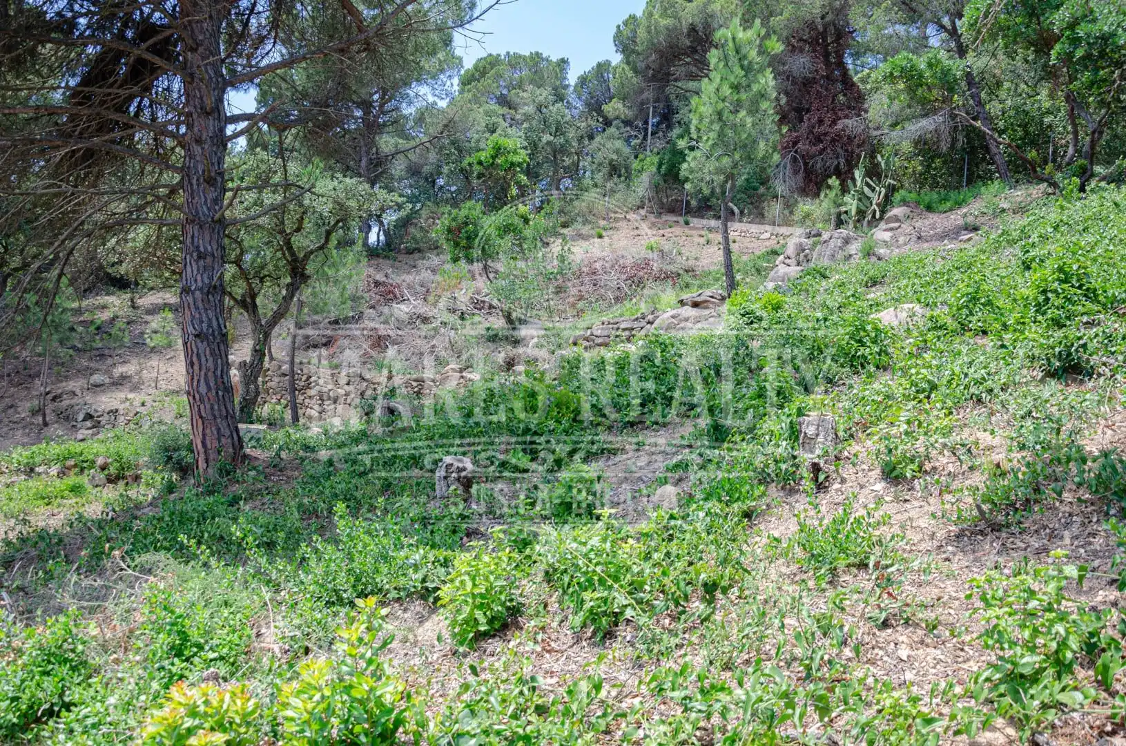 Grundstücke und Bauplätze zum Verkauf in Serra Brava, imagen 10