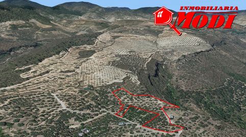 Se vende finca de regadío en Saleres   El Valle con 6.071,9 m2, con sistema de riego por goteo y distribuida en bancales. En la pr, immagine 5