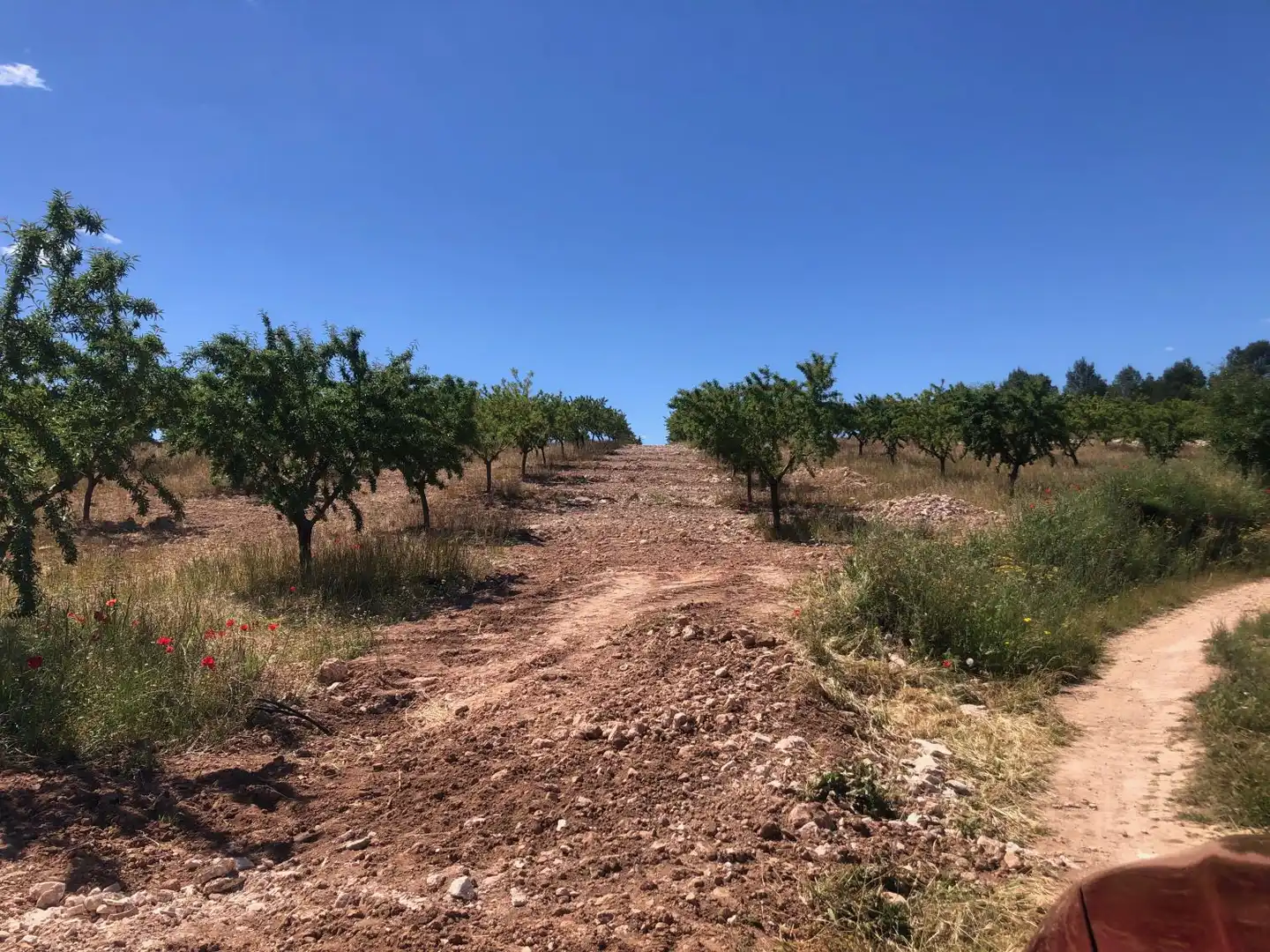 Terrenos y solares en venta en Hellín, imagen 4