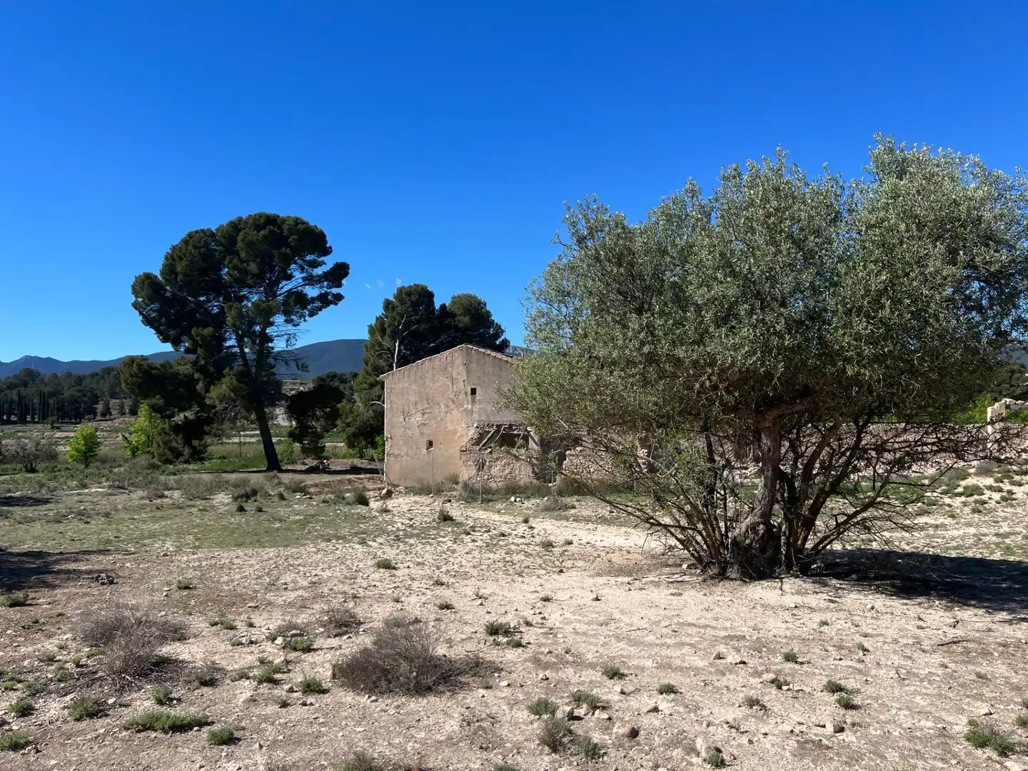 Country homes for sale in Castalla
