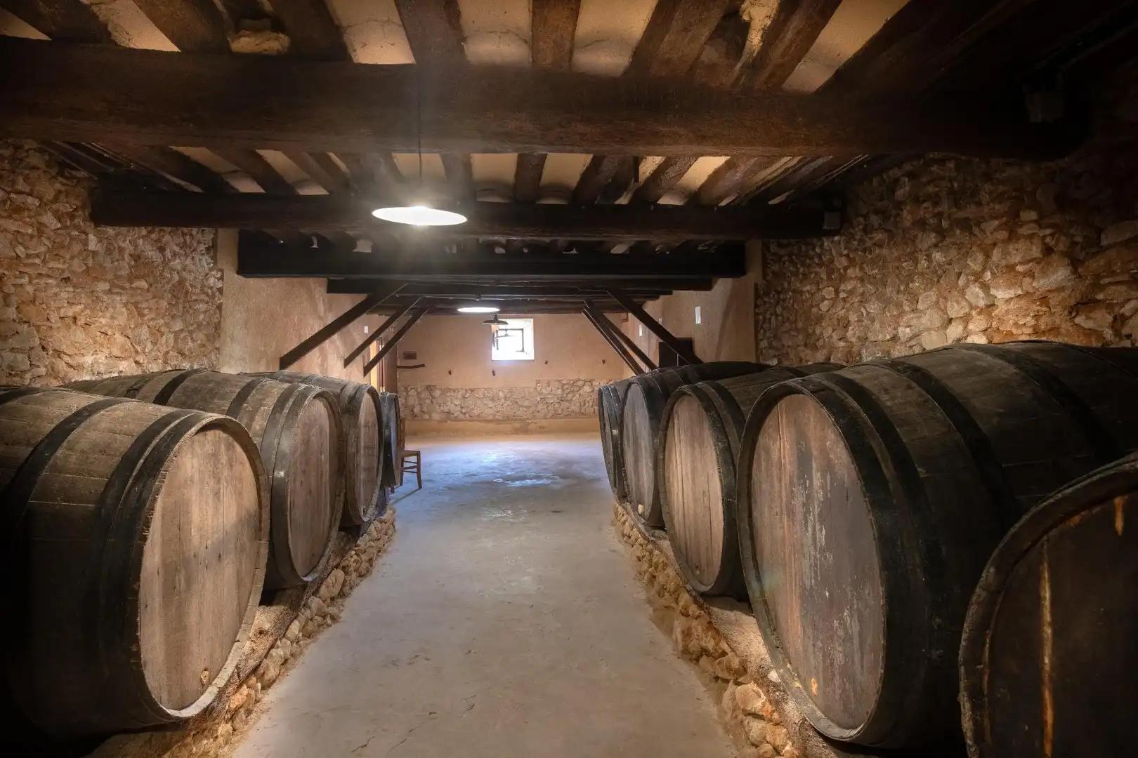 Casa rústica amb terrassa en venda a Sant Jaume dels Domenys, imagen 8