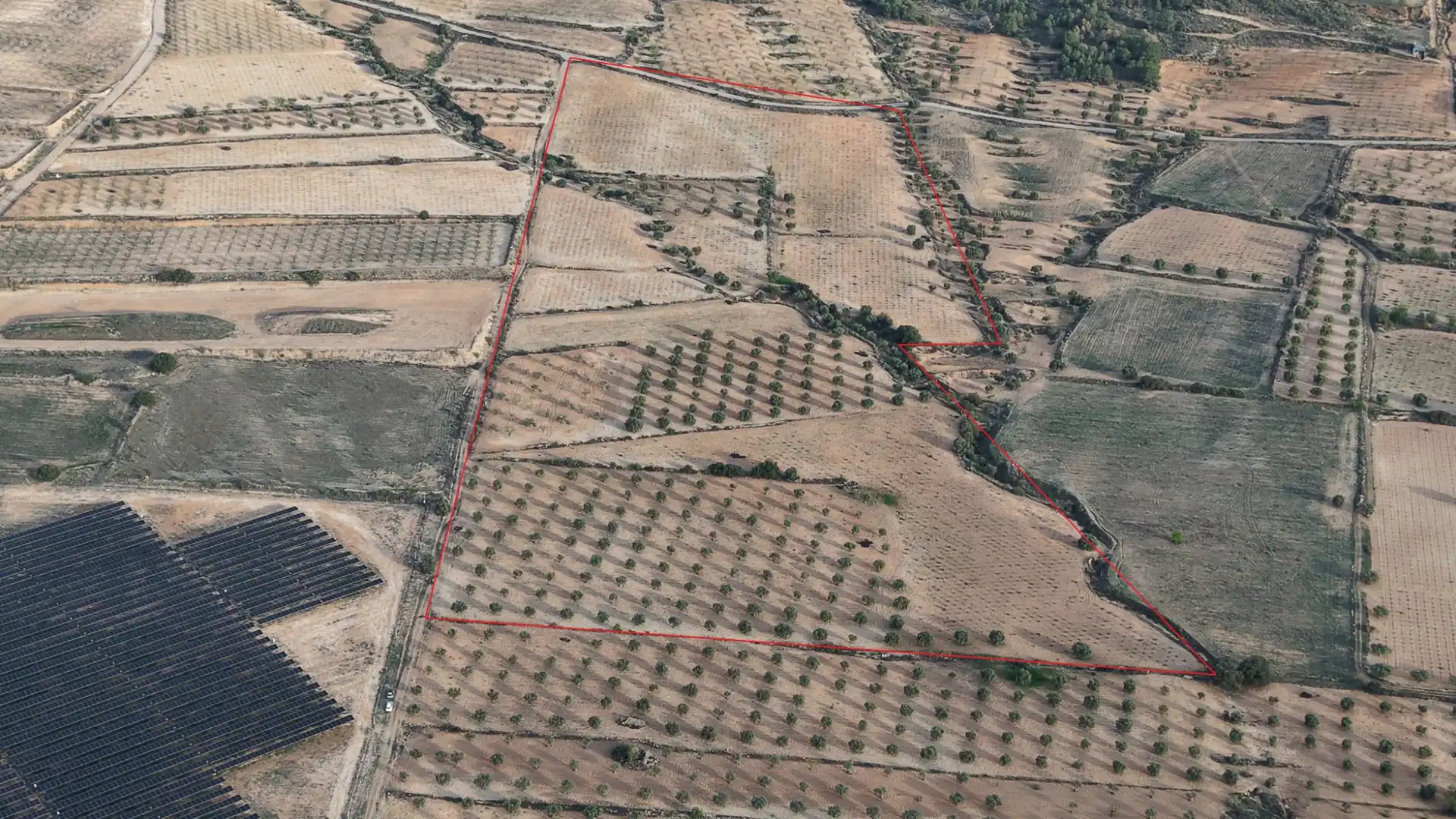 Terreny residencial en venda a Jumilla, imagen 12