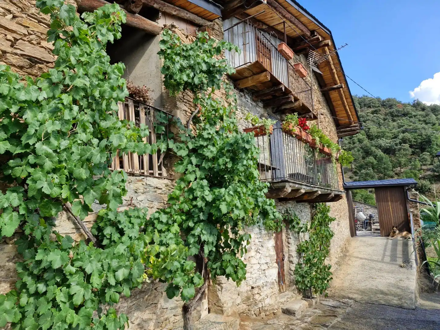Vista exterior de Casa o xalet en venda en Les Valls de Valira