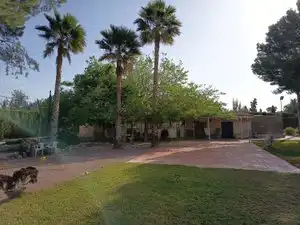 Vista exterior de Finca rústica en venda en Mutxamel amb Aire condicionat, Jardí privat i Terrassa