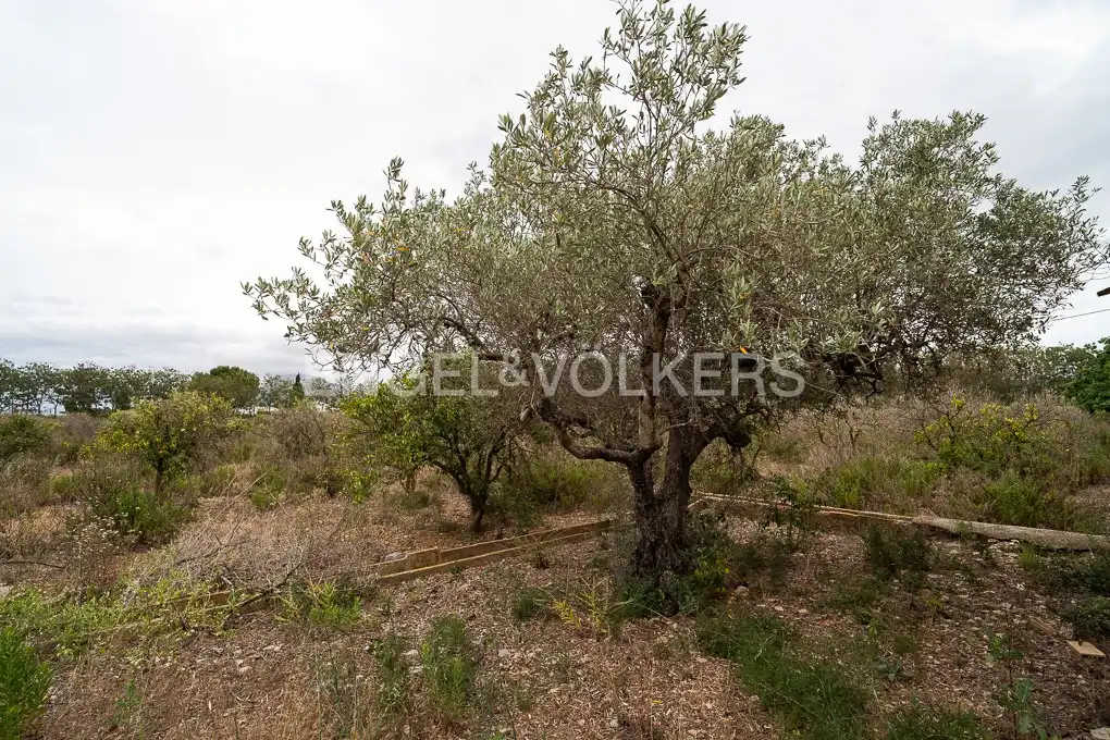 Terrenys i solars en venda a Ondara, imagen 6
