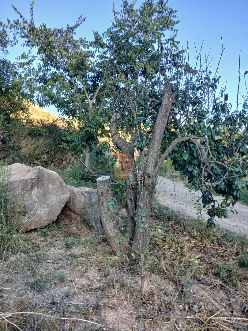 Terreni e lotti in vendita a Calle Gotor, imagen 7
