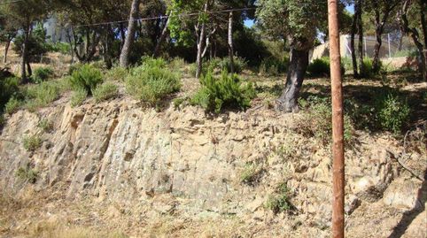 TERRENO EN URBANIZACIÓN