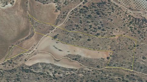 FINCA PARA RECREO, CAZA, GANADERÍA, imatge 5