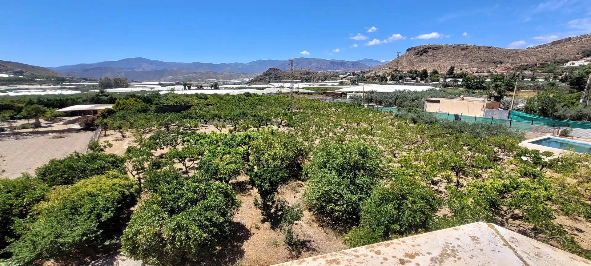Vista exterior de Finca rústica en venta en Berja con Jardín privado, Terraza y Piscina