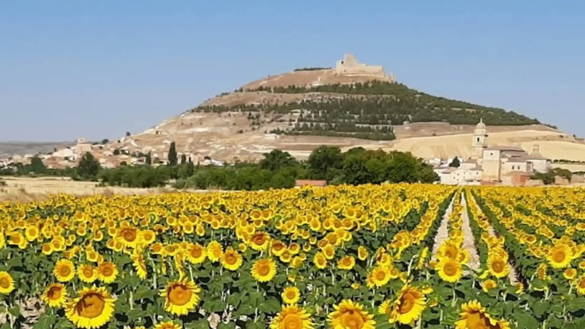 Vista exterior de Casa o chalet en venta en Castrojeriz