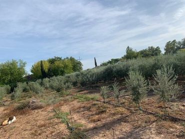 Terreno residenziale in vendita a Periurbano Oeste - Sierra