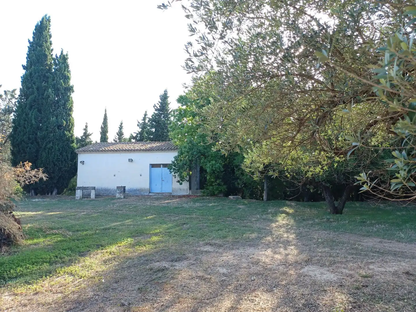 Garden of Houses for sale in Albaida  with Storage room and Swimming Pool