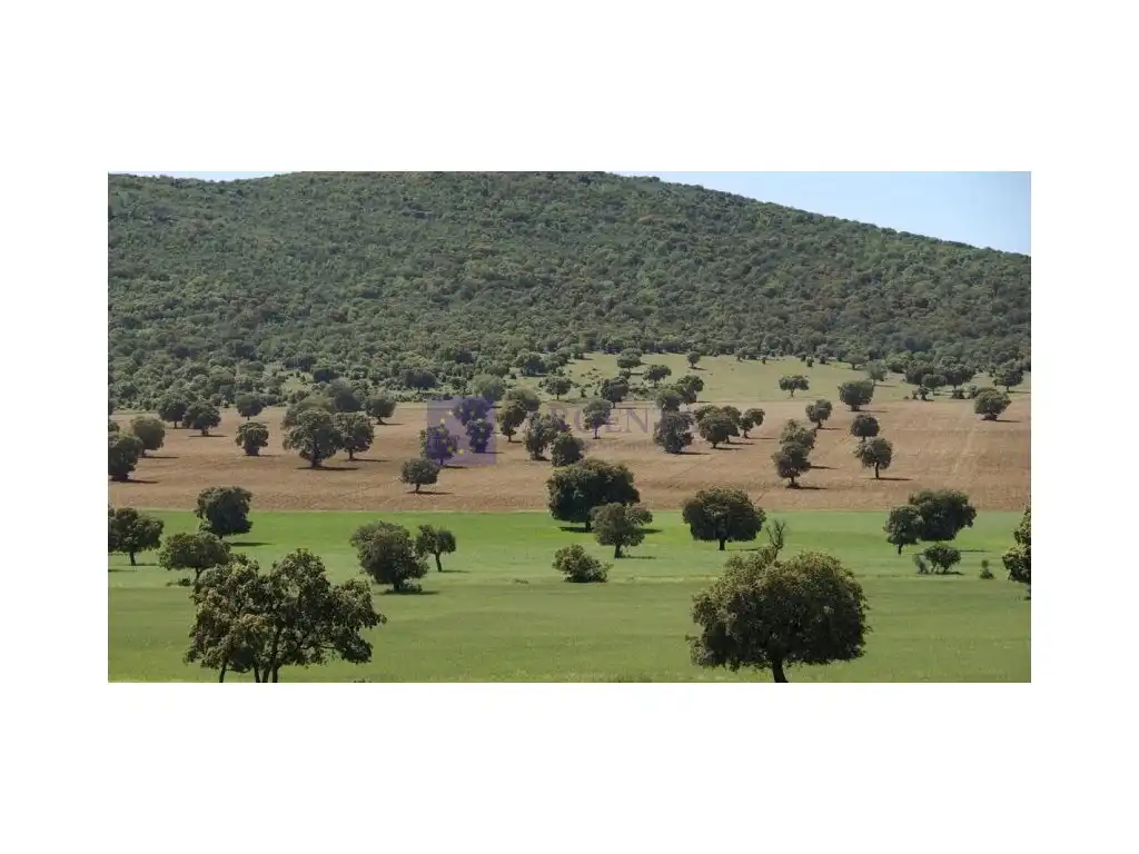 Houses for sale in Diseminados Solana, Zona Sur - Av. de España - San Miguel