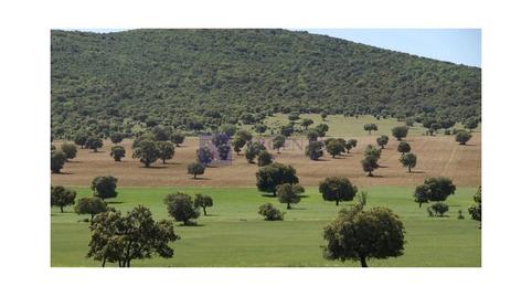 Photo 4 of House or chalet for sale in Diseminados Solana, Zona Sur - Av. de España - San Miguel, Cáceres