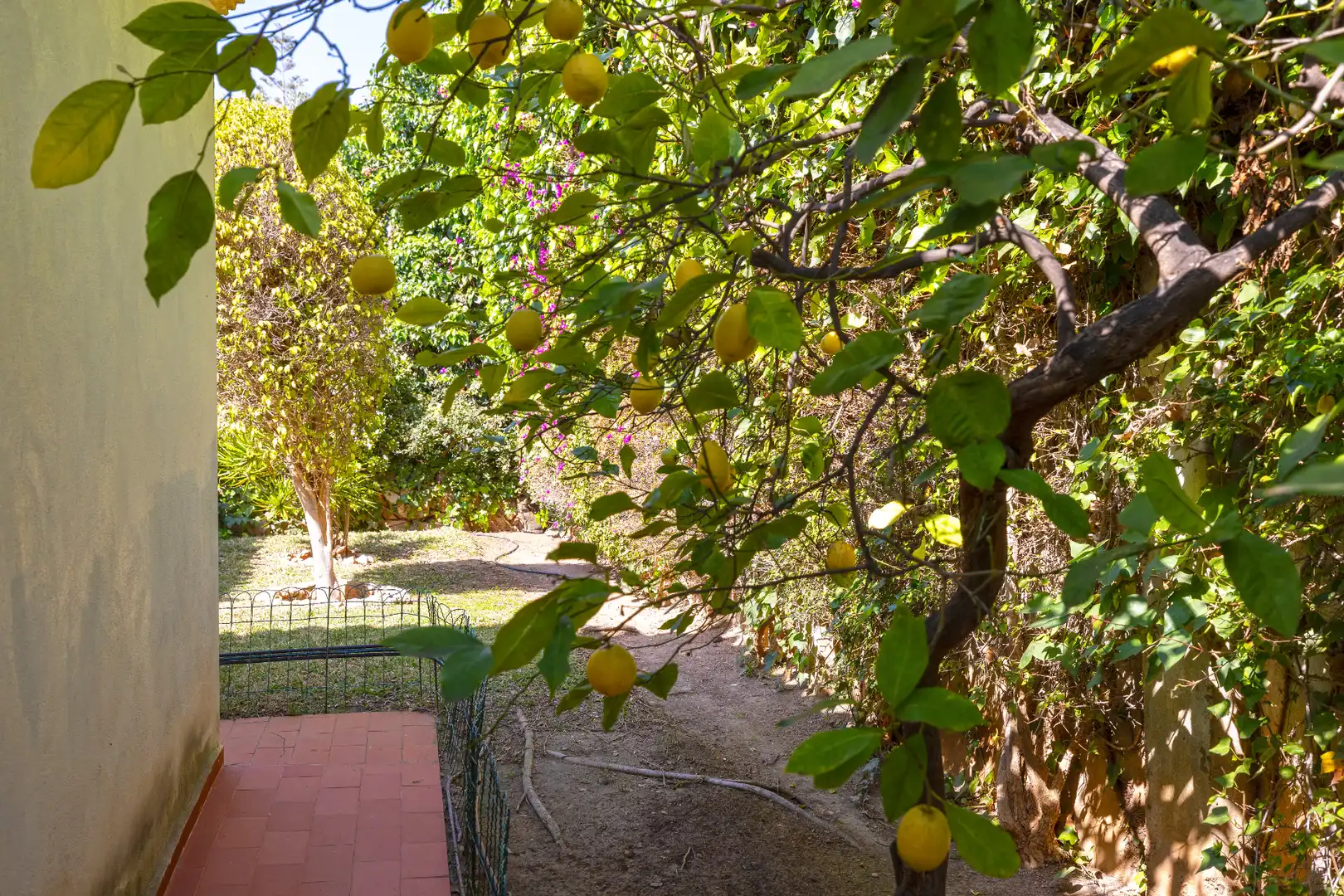 Jardí de Casa o xalet en venda en Málaga amb Aire condicionat, Calefacció i Jardí privat