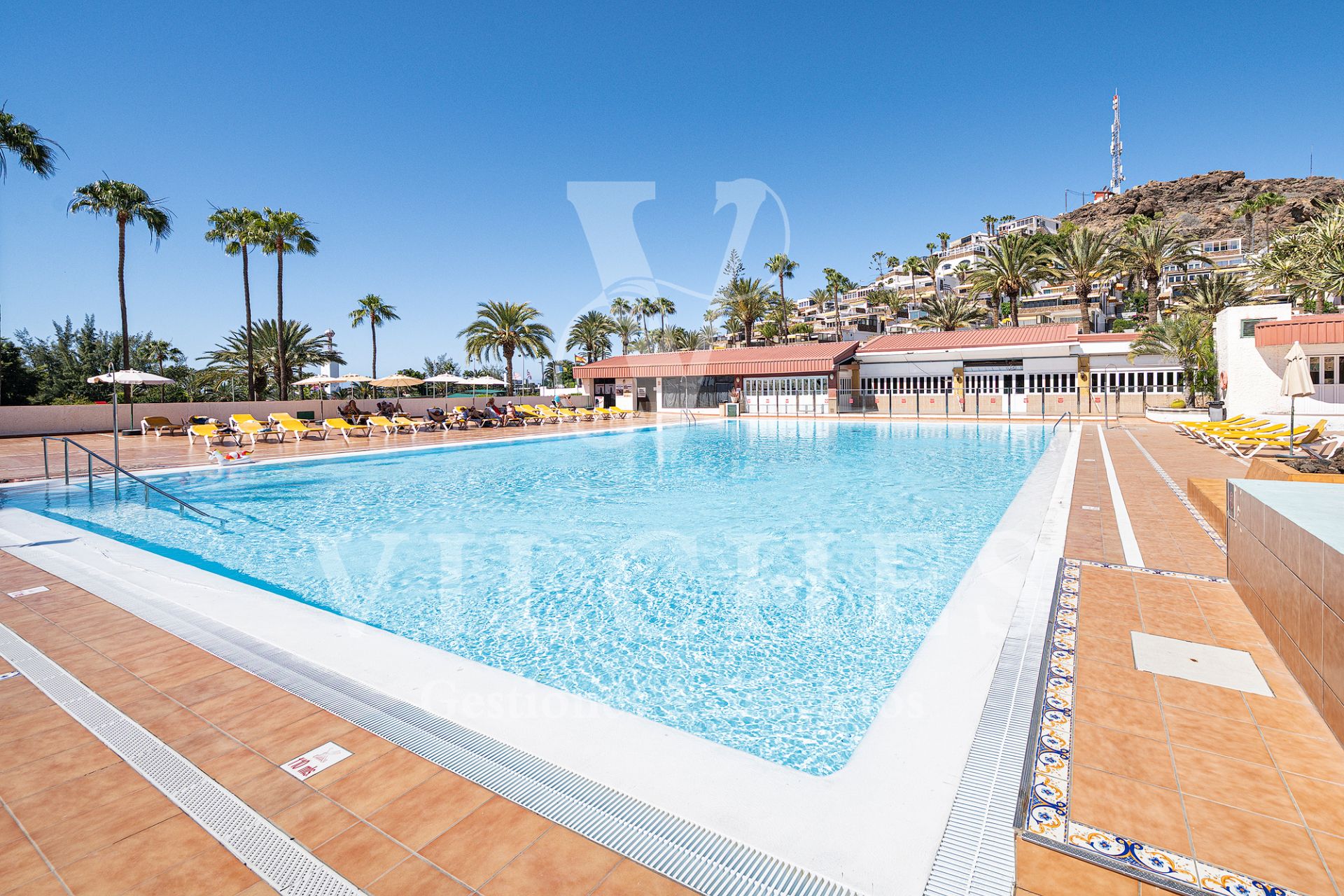 Piscina de Apartament de lloguer en San Bartolomé de Tirajana amb Aire condicionat, Parquet i Terrassa