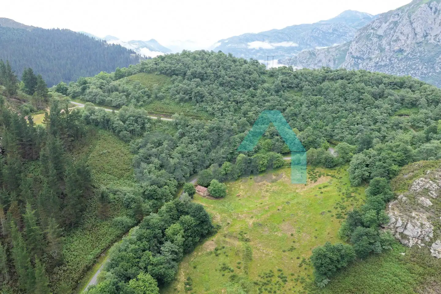 Land for sale in Proaza