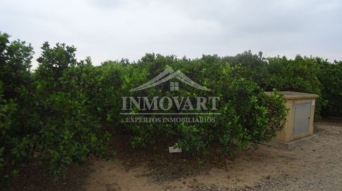 Image 1 de l'annonce