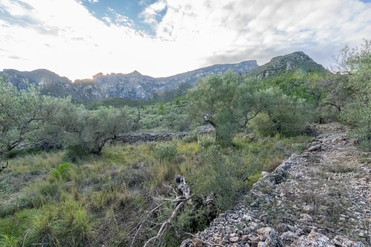 Terreno rustico in vendita a Partida Pandorga 2, imagen 12