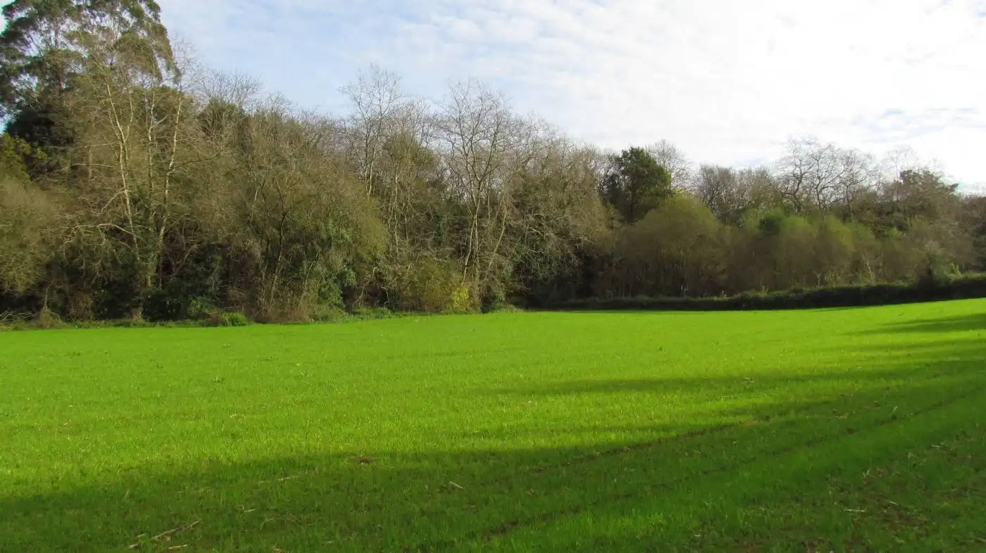 Country homes for sale in Ruiloba