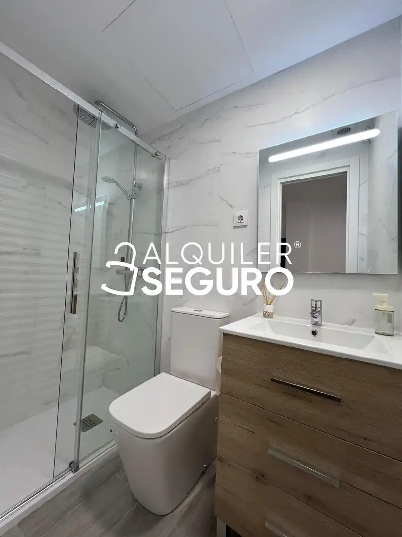 Loft con ascensore in affitto a del Puente Cultural, imagen 14