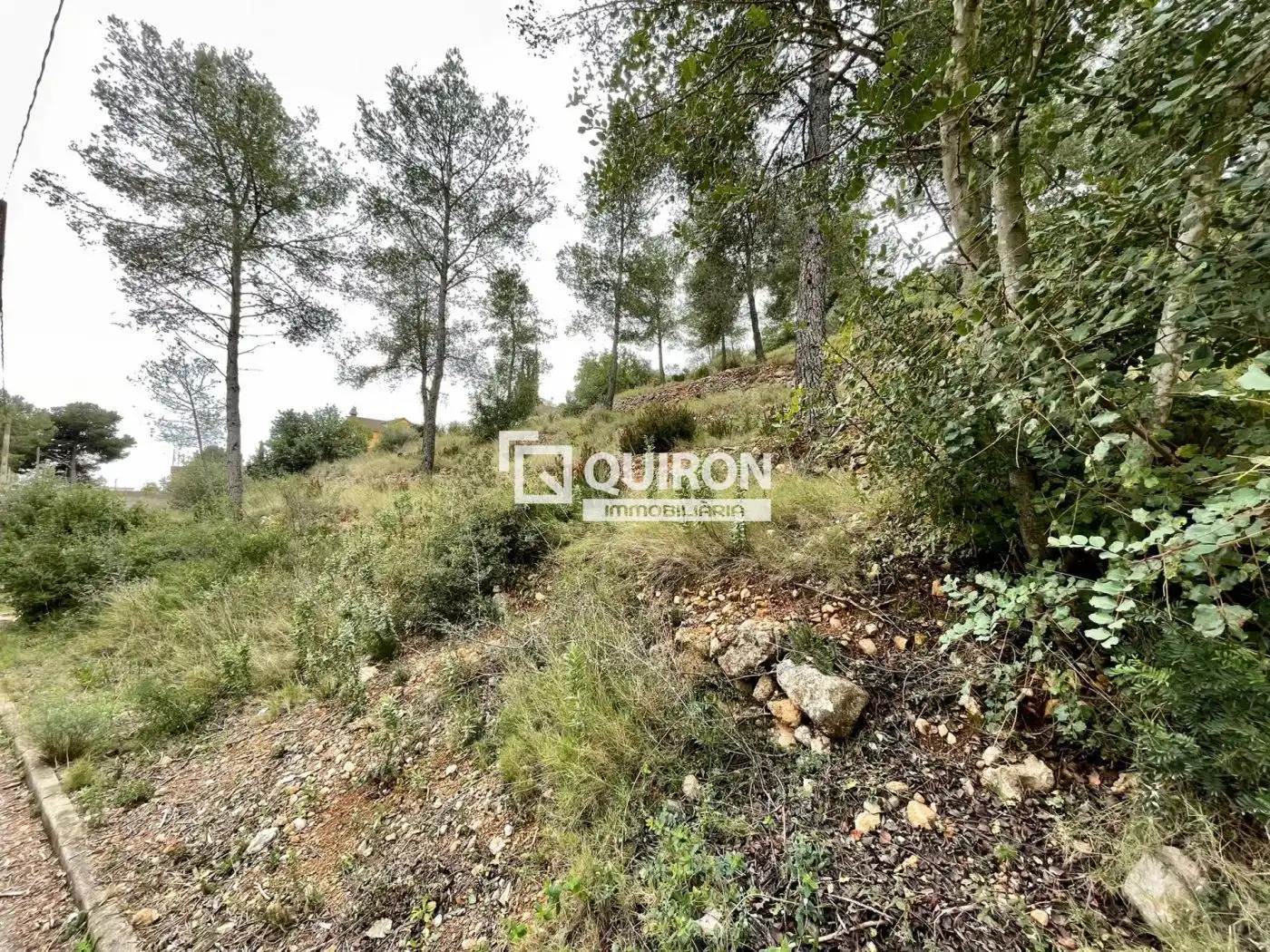 Rural land for sale in La Bisbal del Penedès, imagen 5