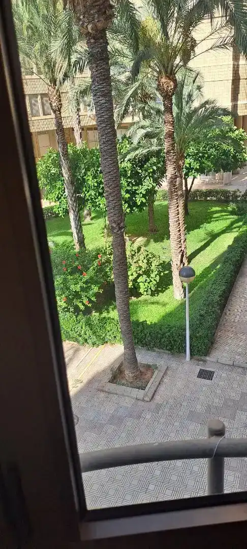 Garten von Wohnung zum Verkauf in Elche ciudad