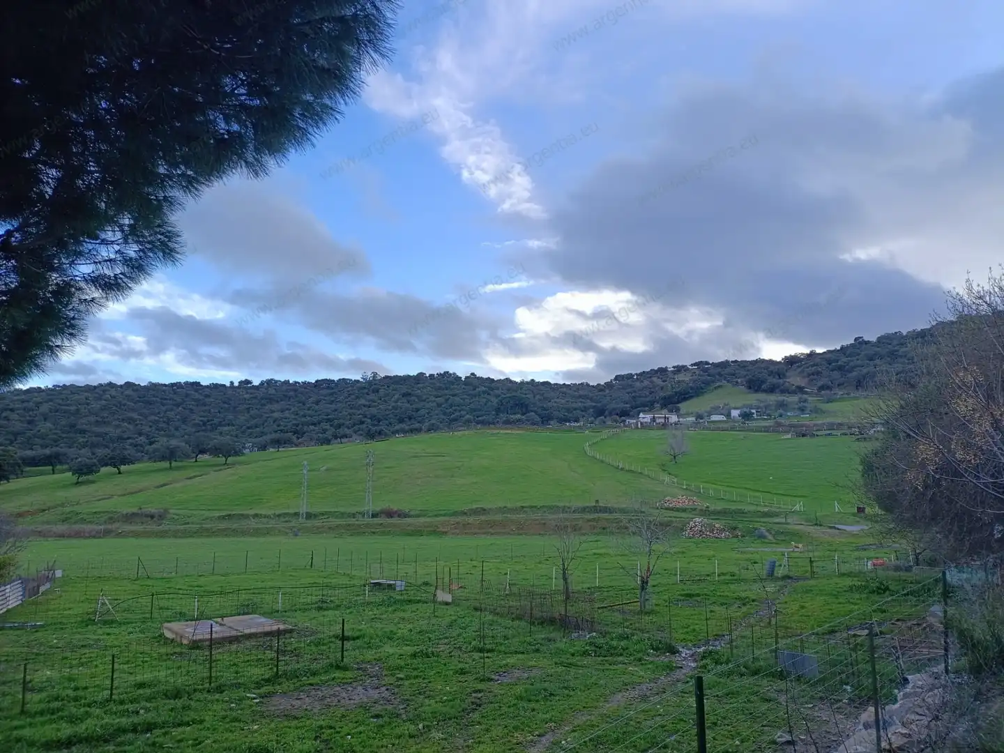 Terreno rustico in vendita a A-8175 17