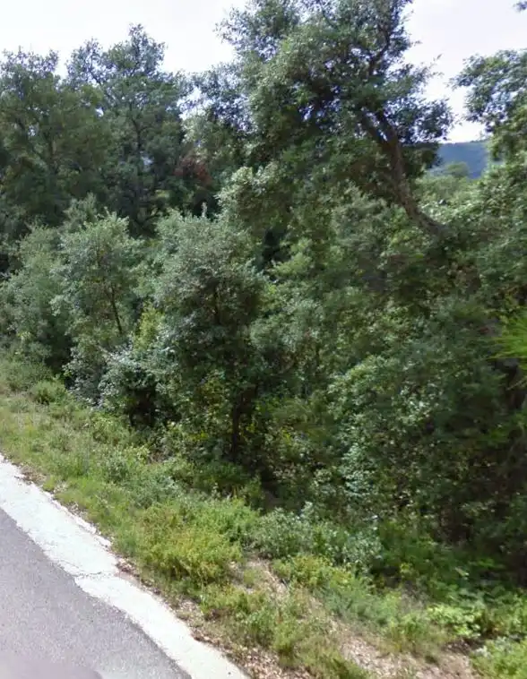 Rural land for sale in Paraje La Corbera, imagen 10