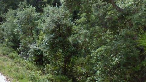 Foto 2 de Terreno en venta en Paraje la Corbera Nº 7 37, Arbúcies, Girona