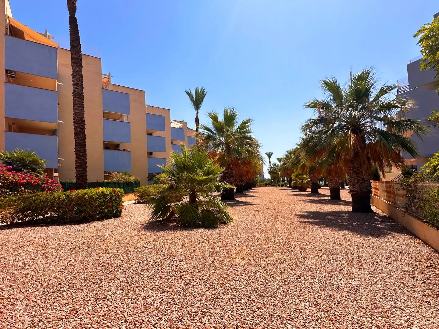 Vista exterior de Planta baixa en venda en Orihuela amb Aire condicionat, Jardí privat i Terrassa