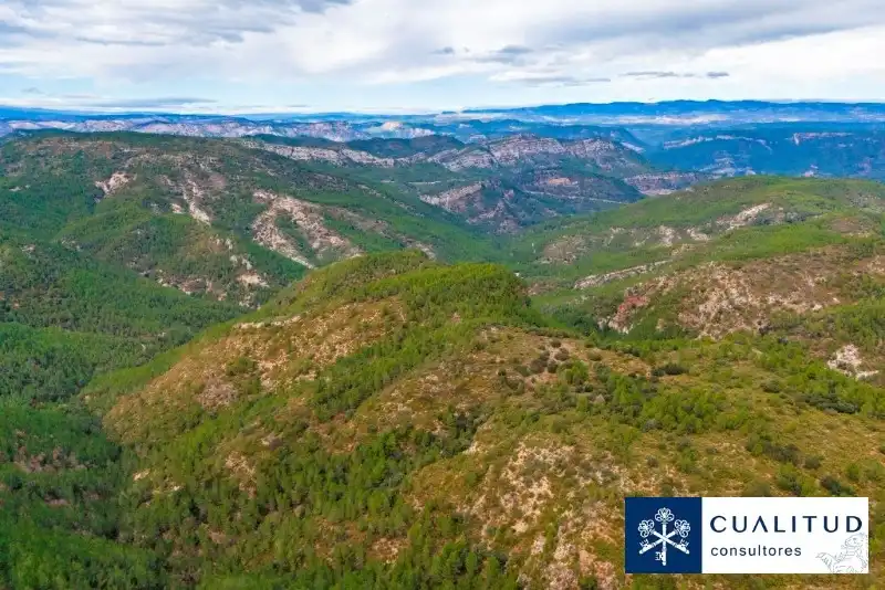 Land for sale in Torralba del Pinar