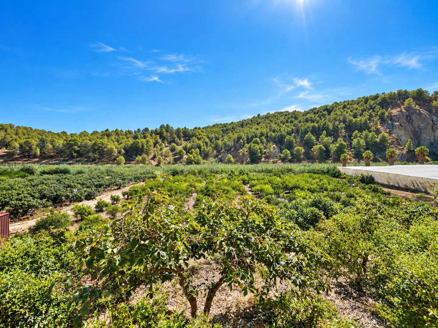 Maison rustique à vendre à Altea ciudad, imagen 32