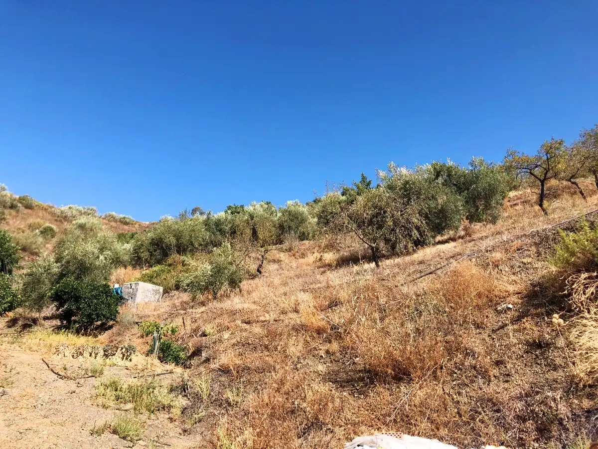 Terrenos y solares en venta en Sedella, imagen 15