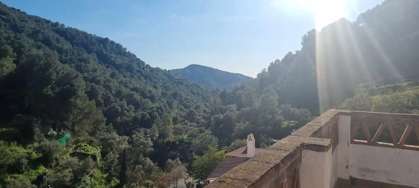 Exterior view of Detached homes for sale in Cómpeta  with Terrace and Swimming Pool