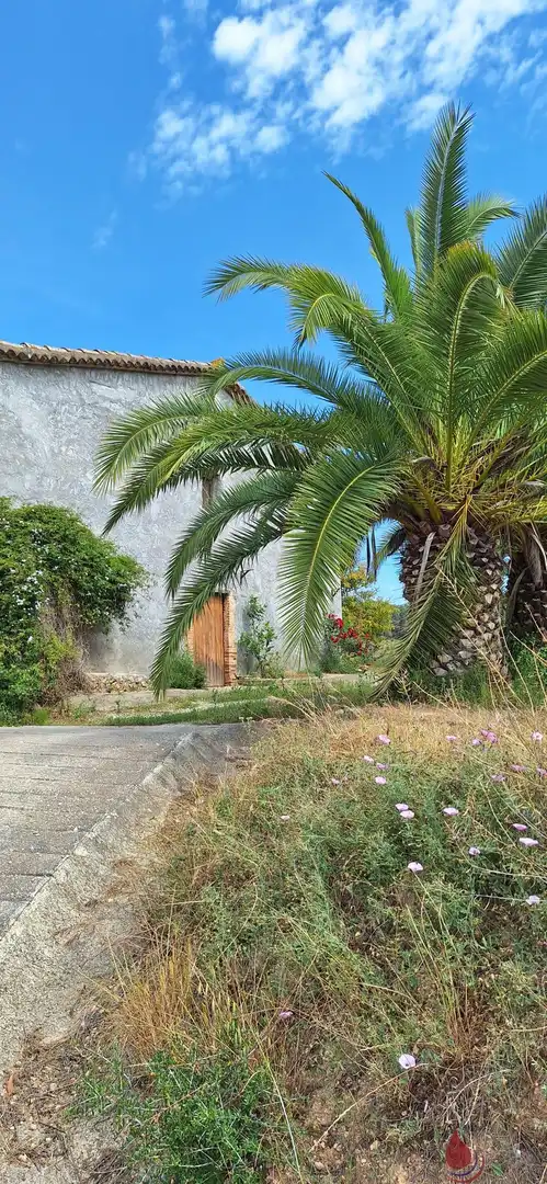 Terreni e lotti in vendita a Castellet i la Gornal, imagen 4