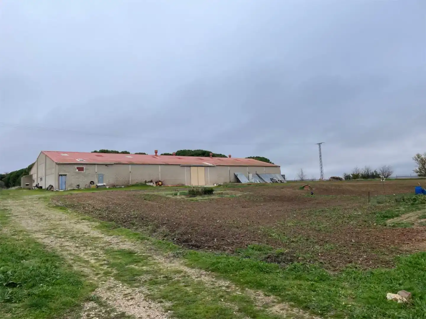 Finca rústica en venta en Olmedillo de Roa