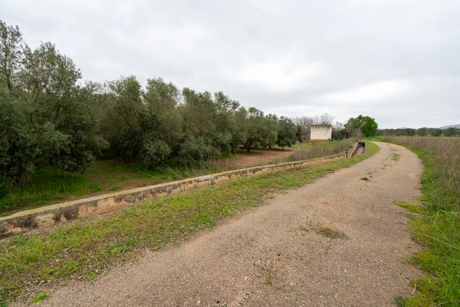Rural land for sale in Godall, imagen 14