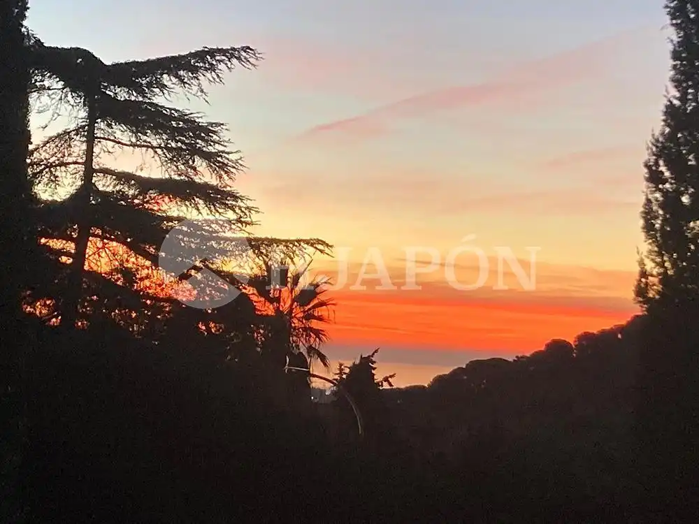 Garden of Houses for sale in Alella, Barcelona