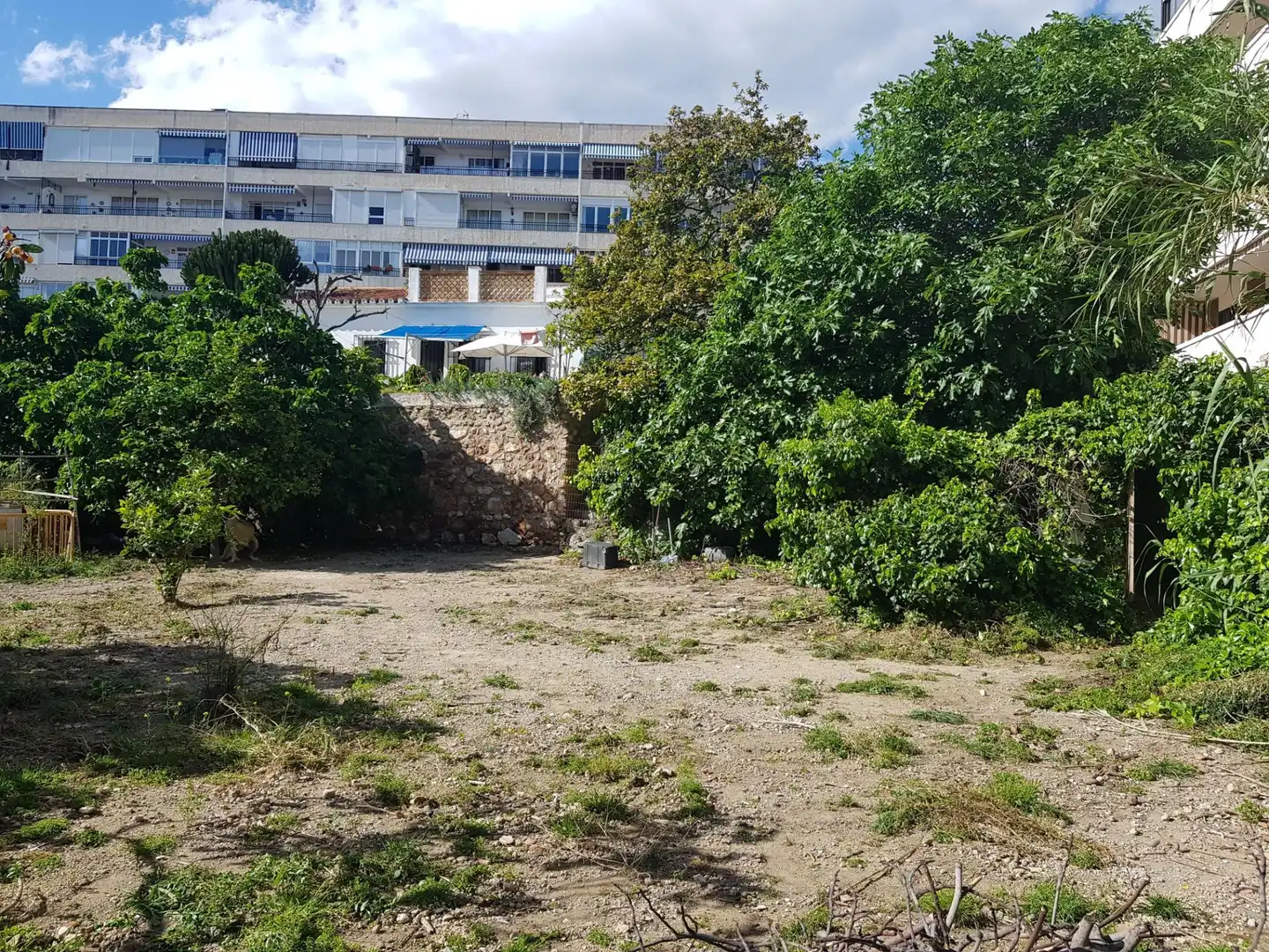 Terrenos y solares en venta en Calle Los Bancales