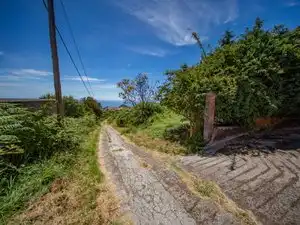 Vista exterior de Casa o xalet en venda en El Rosario amb Jardí privat, Terrassa i Traster